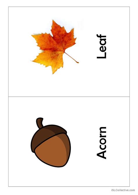 Autumn - Fall - Flashcards vocabular…: English ESL worksheets pdf & doc