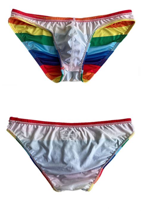 Lgbt Rainbow Swim Briefs Queer In The World The Shop