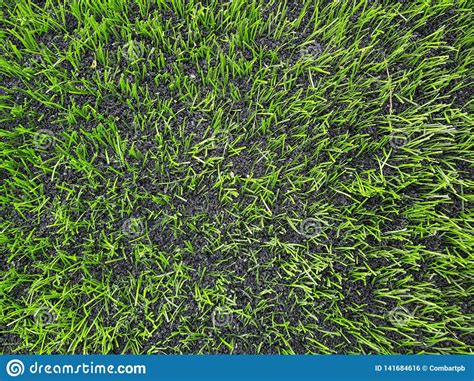 Grass on the Football Field Stock Photo - Image of abstract, color ...