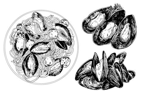 Premium Vector Hand Drawn Mussels