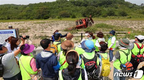 파주·철원·고성 Dmz 관광 재개 한 목소리 네이트 뉴스