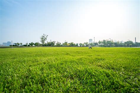 landscaping  homes  gardens