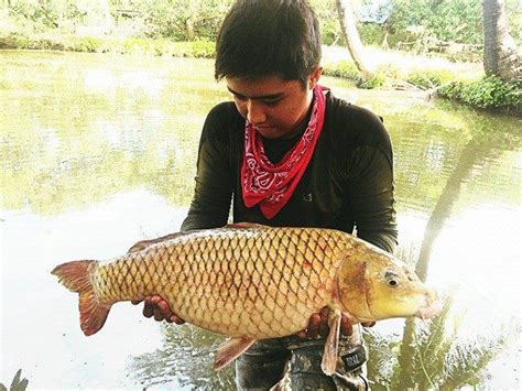 Fishing The Philippines 2 C E Articles