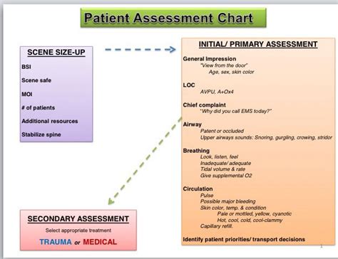 Patient Assessment Ems All Things Emt Emt Basic Emergency Medical Technician Emergency