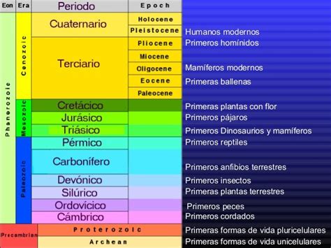 Edades Geologicas