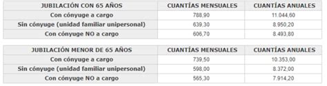 Qu Es Y C Mo Solicitar El Complemento A M Nimos Infoautonomos