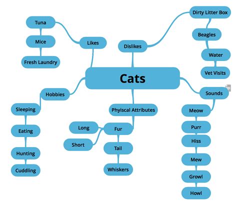 Terminology Tuesday Mind Maps Ashley Chiasson Med