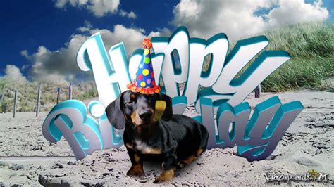 Happy Birthday Dachshund [for Him] Youtube