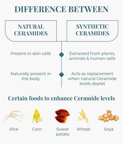 Difference Between Natural And Synthetic Ceramides By Sublime Life Ceramides Skin Advice Skin