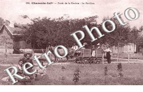 Cadeau Original Avec Photo Foret De La Coubre Le Pavillon Royan