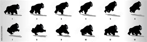 gorilla run cycle animation frames, loop animation sequence sprite ...