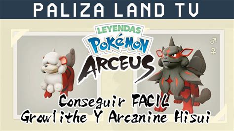 Guia Como Conseguir A Growlithe Y Arcanine Hisui F Cil En Leyendas