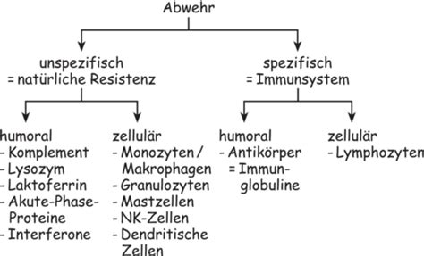 Das Immunsystem Flashcards Quizlet