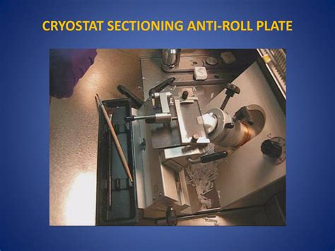 PPT TISSUE FREEZING METHODS FOR CRYOSTAT SECTIONING PowerPoint