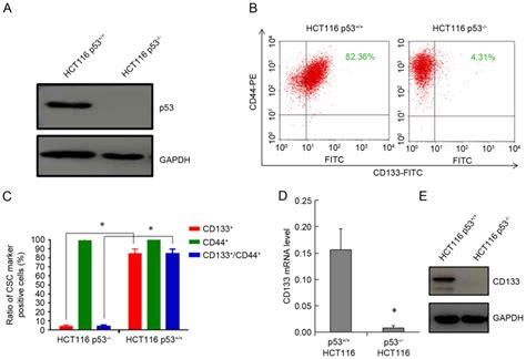 P53 Positively Regulates The Expression Of Cancer Stem Cell Marker