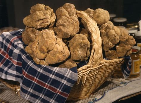 LASSOCIAZIONE NAZIONALE CITTÀ DEL TARTUFO A FICO EATALY WORLD CON L