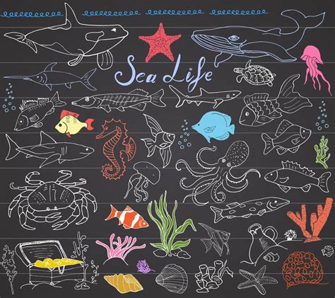 Big Sea Life Animals Hand Drawn Sketch Set Doodles Of Fish Shark