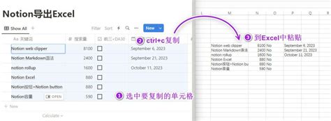 Notion使用教程：notion数据库教程 Notion Excel的导入和导出 知乎