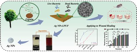 Antibacterial Lignin Based Polyurethane Silver Composite Foam