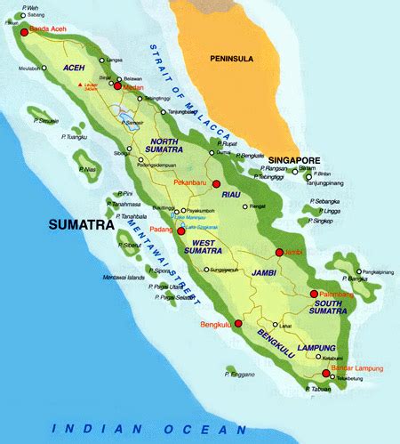 Island: sumatra