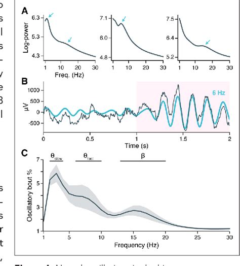 Figure 1 From MTL Neurons Phase Lock To Human Hippocampal Theta