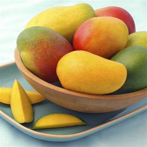 5 Jugo De Mango Beneficios Recetas ¡delicia Tropical