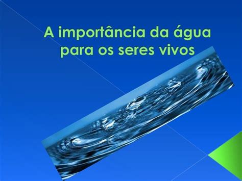 A Importância Da água Para Os Seres Vivos