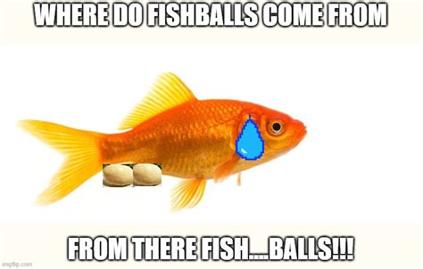 Fishballs Memes And S Imgflip