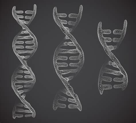 Parte Vetorial Do Estilo Abstrato Triangular D De Dna Humano Vetor