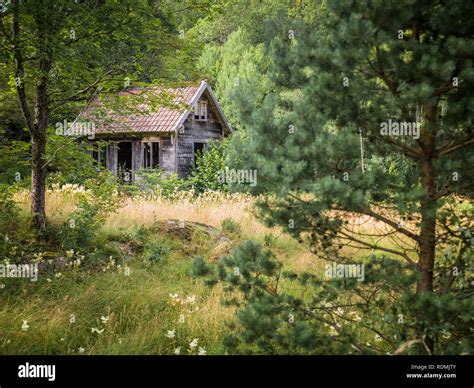 Wooden hut in forest Stock Photo - Alamy