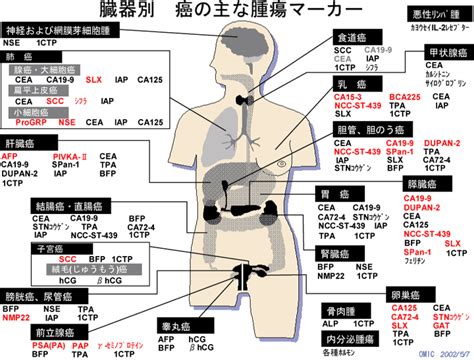 がん（癌）の予防と治療と名医 子宮内膜の検査腫瘍マーカー