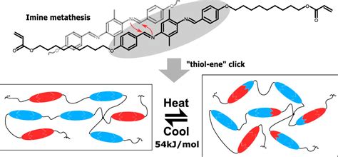 Imine Based Reactive Mesogen And Its Corresponding Exchangeable Liquid