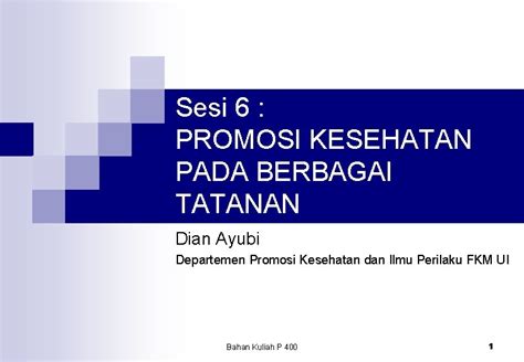 Sesi Promosi Kesehatan Pada Berbagai Tatanan Dian