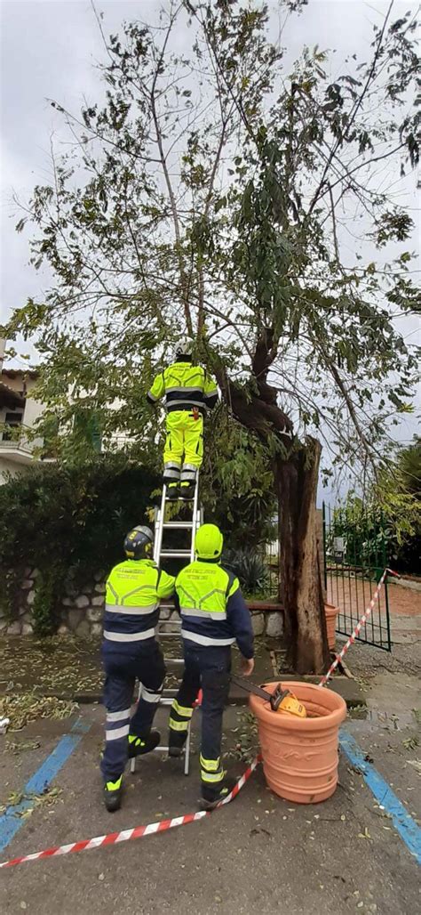 Maltempo In Penisola Sorrentina Tra Alberi Caduti E Blackout