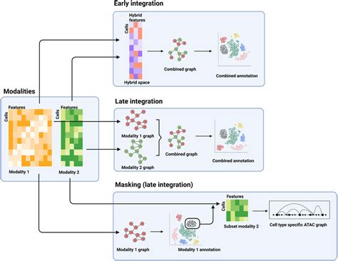 Frontiers Multi Omic Single Cell Sequencing Overview And