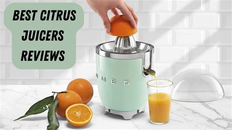 Top 5 Best Citrus Juicers Reviews Of 2023 Best Electric Citrus Juicers Youtube