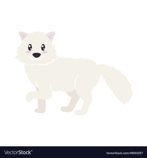 Arctic fox Royalty Free Vector Image - VectorStock