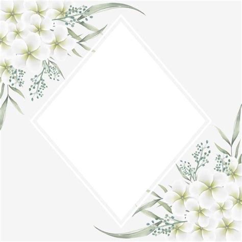 Linda Borda De Flor Branca Com Moldura Branca Png Clipart De