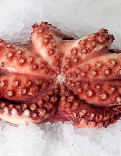 Pulpo Congelado Asturpesca