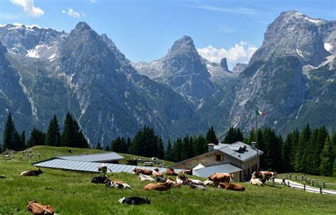 Escursione Misurina Col De Varda Rif Citta Di Carpi Malga Maraia