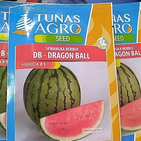 Jual BENIH SEMANGKA BERBIJI DRAGON BALL DB DARI TUNAS AGRO Shopee