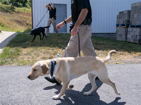 These best boys and girls just graduated from the ATF's National Canine ...