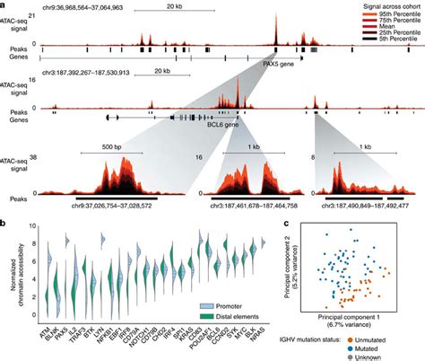 Heterogeneity In The Chromatin Accessibility Landscape Of Cll A