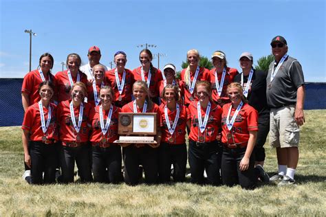 Cardinals Take Third At State Tournament Annandale Advocate