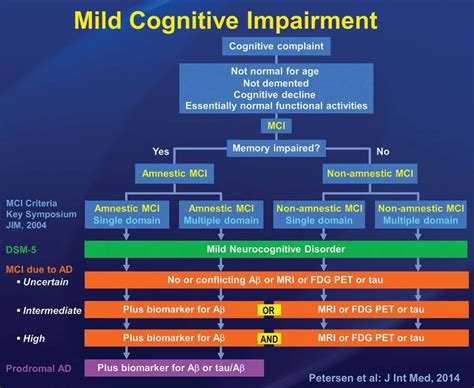 Mild Cognitive Impairment