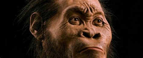 Here's Everything You Need to Know About The Newly Discovered Hominid Species : ScienceAlert