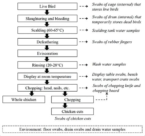 Flow Diagram Of Poultry Processing In Wet Markets With Detailed