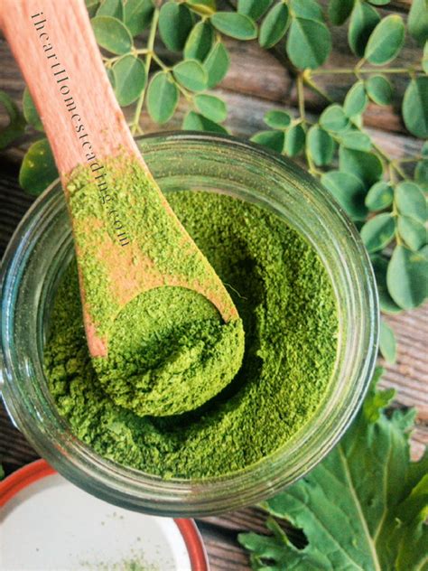 How To Make Your Own Kale Moringa Powder First Home Love Life