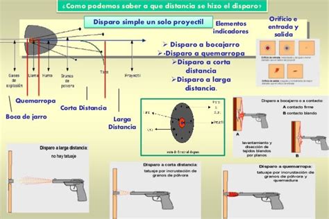 Tema 345 Y7