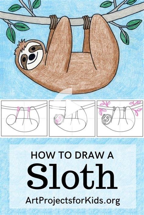 How To Draw A Realistic Sloth Step By Step At Drawing Tutorials